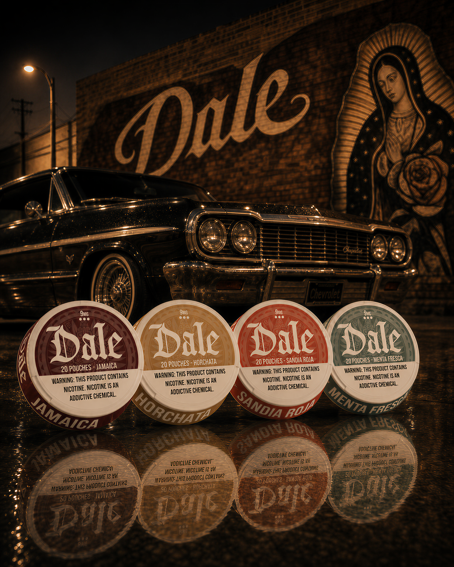 Dale 20 Can Variety Pack