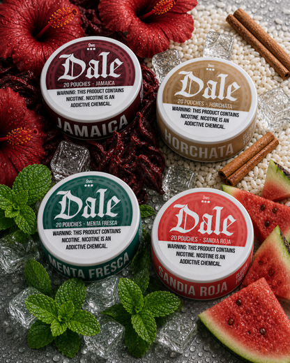 Dale 20 Can Variety Pack